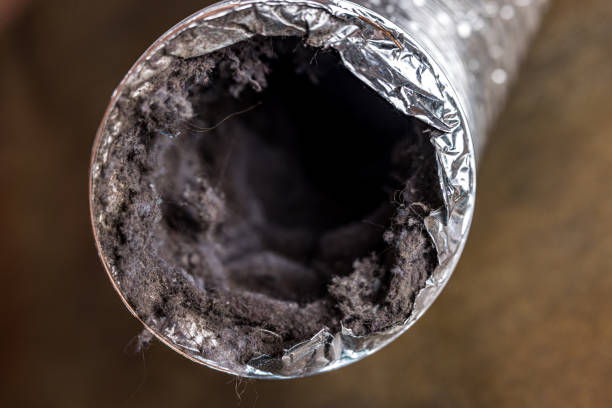 Best Affordable Air Duct Cleaning  in Lake Stickney, WA